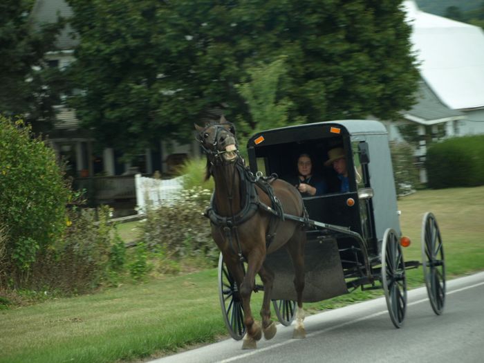 Amish County